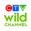 CTV Wild (canada)